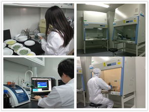 健康家電檢測中心 測試計量技術(shù)研究所 環(huán)境與健康相關(guān)產(chǎn)品檢測所簡介與技術(shù)服務體系