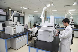 科技引領(lǐng)，服務(wù)賦能 以創(chuàng)新技術(shù)打響“上海制造”品牌，驅(qū)動集團(tuán)高質(zhì)量發(fā)展